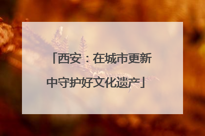 西安：在城市更新中守护好文化遗产
